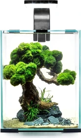 Aquael Day & Night 10 Aquarium-Set, schwarz, 10l