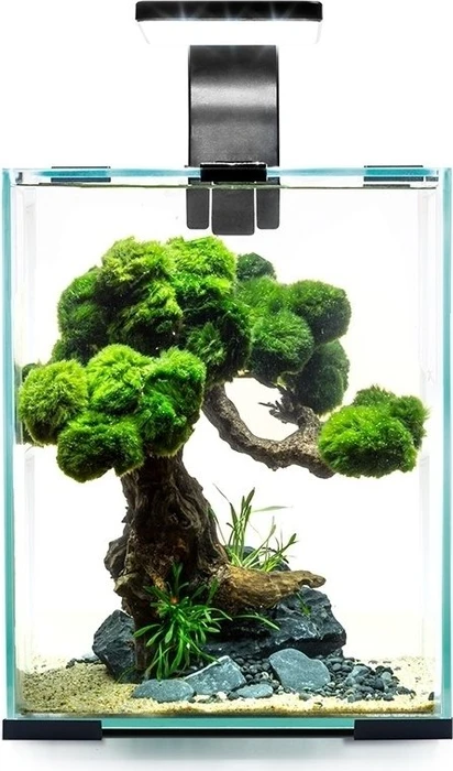 Aquael Day & Night 10 Aquarium-Set, schwarz, 10l
