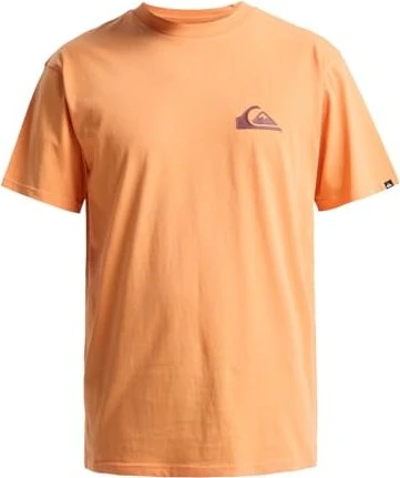 Quiksilver EV Mini Logo T-Shirt kurzarm (Herren)