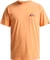 Quiksilver EV Mini Logo T-Shirt kurzarm (Herren) Vorschaubild