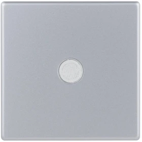 REV Ritter Quadro Abdeckung für A-/W-/Kontrollschalter/Taster beleuchtet, silber