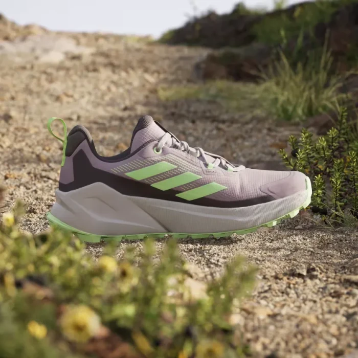 adidas Terrex Trailmaker 2.0 GTX preloved fig/green spark/charcoal (Damen)