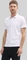 Tom Tailor Piqué Poloshirt kurzarm weiß (Herren) Vorschaubild
