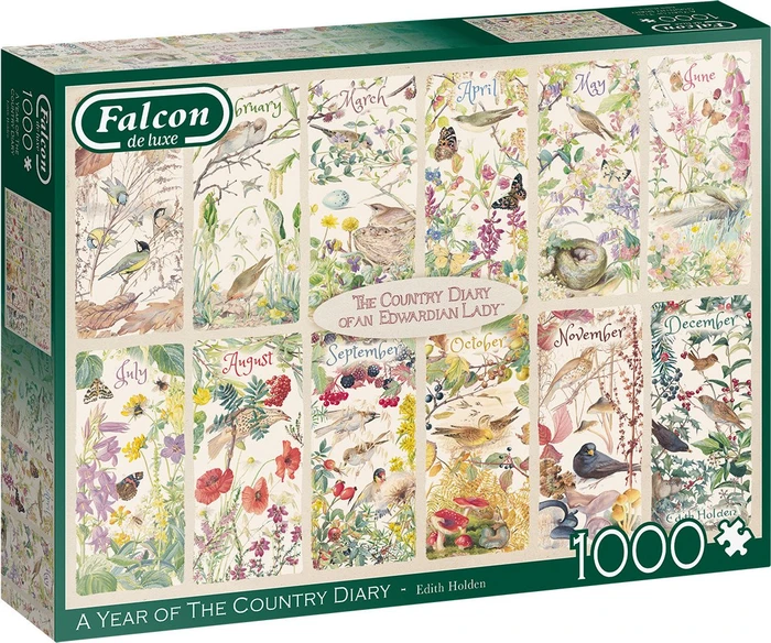 Jumbo Falcon A Year of The Country Diary