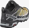 Salomon X Ultra 3 GTX arrowwood/black/lemon zest (Herren) Vorschaubild