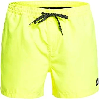 Quiksilver Everyday 15" Badeshorts (Herren)