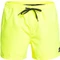Quiksilver Everyday 15" Badeshorts (Herren) Vorschaubild