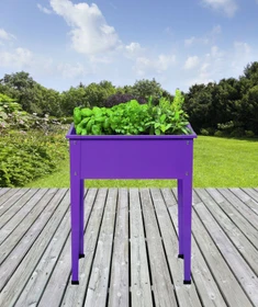 Floraworld Season Hochbeet 60x30cm lila
