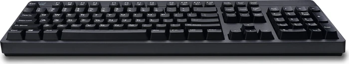 Adesso EasyTouch 630UB antimikrobielle Tastatur, schwarz, PS/2 & USB, US