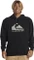 Quiksilver Big Logo Hoodie (Herren) Vorschaubild