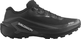 Salomon Genesis 2 GTX schwarz/weiß (Herren)