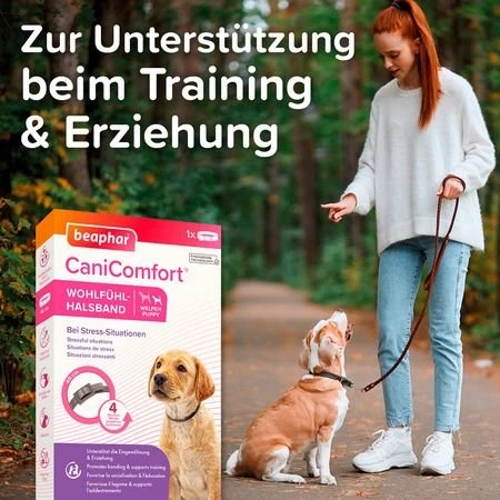 beaphar CaniComfort Pheromon Wohlfühl-Halsband für Welpen 45cm, 1 Stück