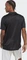 adidas Club Tennis Poloshirt kurzarm schwarz (Herren) Vorschaubild