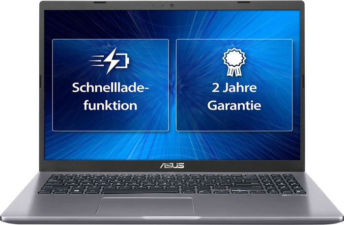 ASUS Business P1501DA