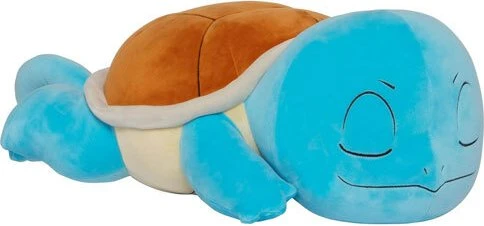 Pokémon schlafend