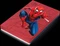 Seagate FireCuda Gaming HDD - Spider-Man Special Edition, 2TB, +Rescue, USB 3.0 Micro-B Vorschaubild