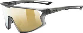 UVEX skyryse smoke matt/mirror gold