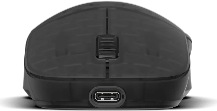 Endgame Gear XM2w 4k Wireless Gaming Mouse Dark Frost, USB