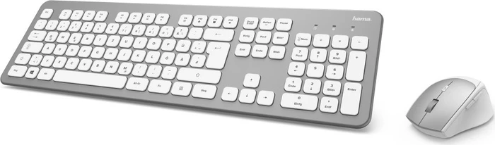 Hama KMW-700 Funk Tastatur und Maus Set, silber/weiß, USB, DE