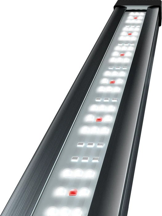 Tetra Tetronic LED ProLine 580, Vollspektrumleuchte mit Nachtlicht-Modus, 580-820mm, blau/rot/weiß, 15W