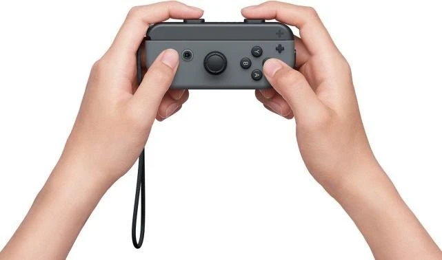 Nintendo Switch (2019) schwarz/grau