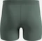 Odlo Natural Merino 160 Boxer Briefs urban chic (Herren) Vorschaubild