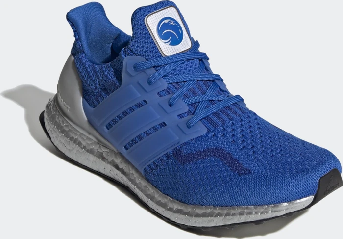 adidas Ultraboost DNA 5.0 football blue/royal blue (Herren)