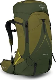 Osprey Atmos AG LT 65 scenic valley/green peppercorn