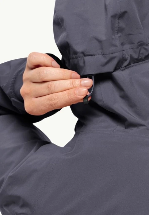 Jack Wolfskin Eagle Peak 2L Funktionsjacke dolphin (Damen)