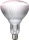 Philips InfraRed Industrial Heat Incandescent 250W BR125 IR E27 Infrarotlampe (575234-25)