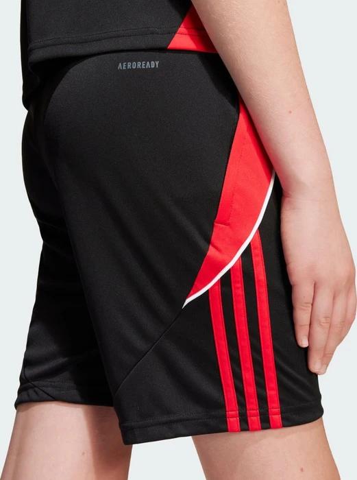 adidas Tiro 24 Trainingshose kurz black/pure ruby (Junior)