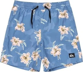 Quiksilver Everyday Straight 14" Badeshorts backyards/coronet blue (Junior)
