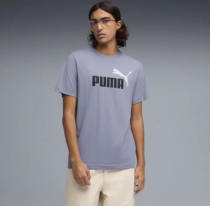 Puma Essentials 2 Colour No. 1 Logo T-Shirt kurzarm gray sky (Herren)