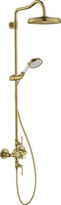 Hansgrohe Axor Montreux Showerpipe mit Thermostat und Kopfbrause 240 1jet brushed brass