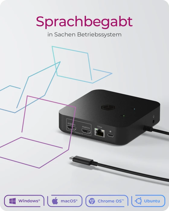 RaidSonic Icy Box IB-DK4090-C, USB-C 3.1 [Stecker]