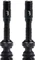 BBB BTI-166 CoreCap AL Tubeless-Ventil Vorschaubild
