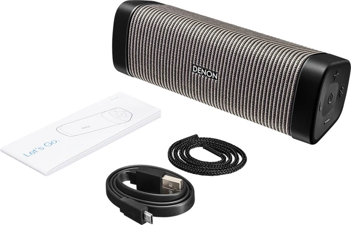 Denon Envaya Mini grau