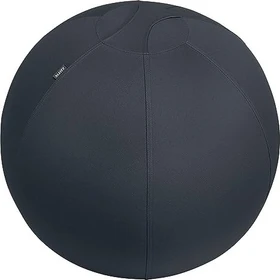 Leitz Ergo Active Sitzball 65cm, dunkelgrau