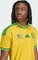 adidas FIFA WM 2026 Südafrika Authentic Heimtrikot kurzarm team yellow (Herren) Vorschaubild