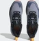 adidas Terrex Free Hiker 2 GTX silver violet/blue dawn/core black (Herren) Vorschaubild