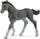Schleich Horse Club - Trakehner Fohlen (13944)