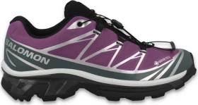 Salomon XT-6 GTX concord grape/stormy weather/ftw silver