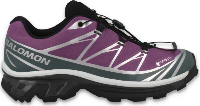 Salomon XT-6 GTX concord grape/stormy weather/ftw silver