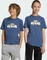 adidas Graphic T-Shirt kurzarm preloved ink (Junior) Vorschaubild