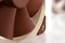 Noctua NF-F12 5V, 120mm Vorschaubild