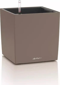 Lechuza Cube Color 30 muskat