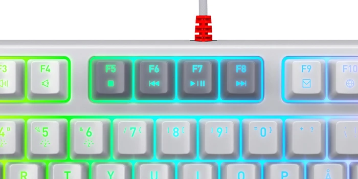 Cherry Xtrfy K4V2 TKL, Retro, grau, LEDs RGB, MX2A RGB RED, USB, DE