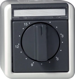 Gira Zeitschalter 15 Minuten 2-polig 16A 250V, grau