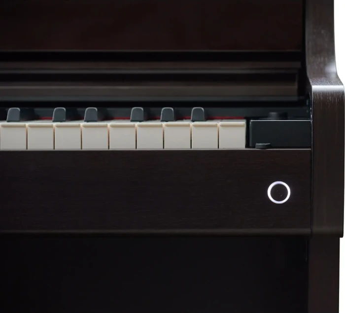 Casio Celviano AP-550 braun