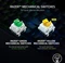 Razer BlackWidow V3, Razer YELLOW, USB, ND Vorschaubild